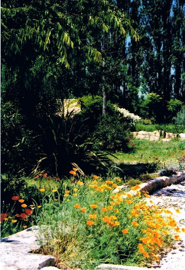 Le Mas De La Chouette Saint-Rémy-de-Provence Eksteriør bilde