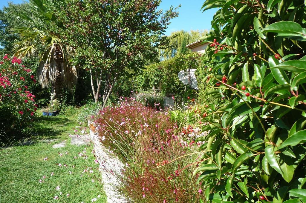 Le Mas De La Chouette Saint-Rémy-de-Provence Eksteriør bilde