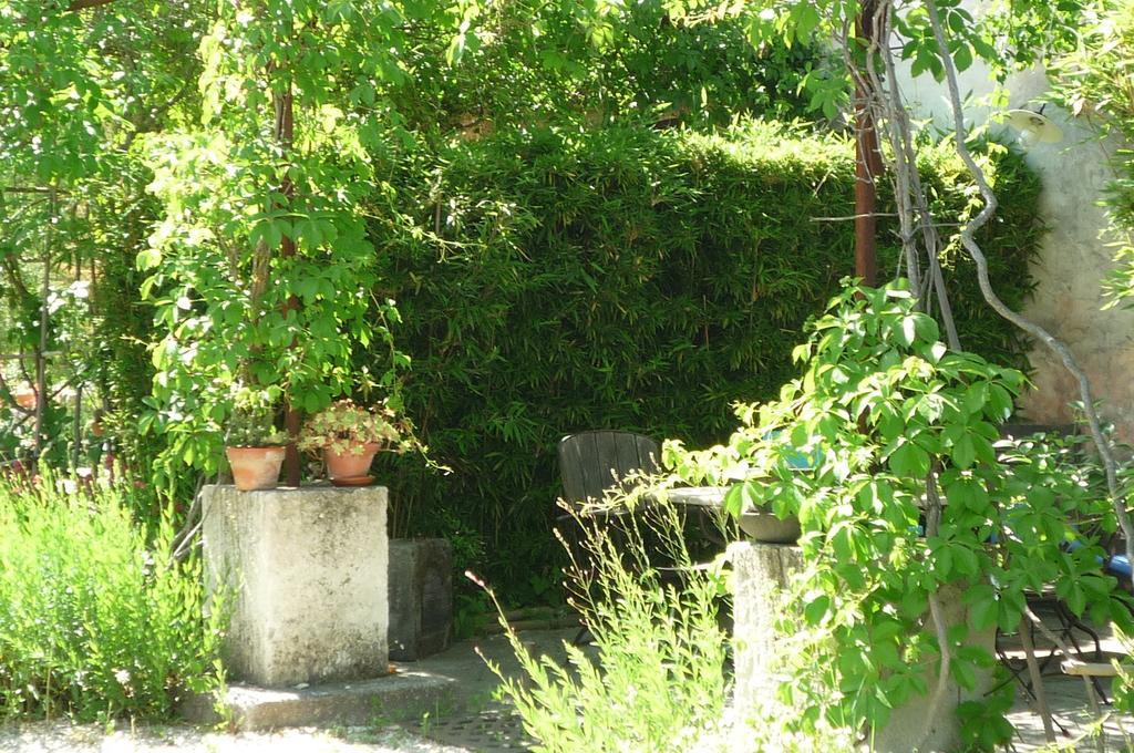 Le Mas De La Chouette Saint-Rémy-de-Provence Eksteriør bilde